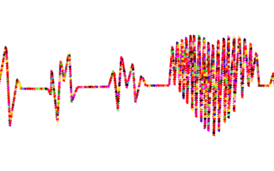 Todo Lo Que Necesitas Saber Sobre La Técnica Tavi